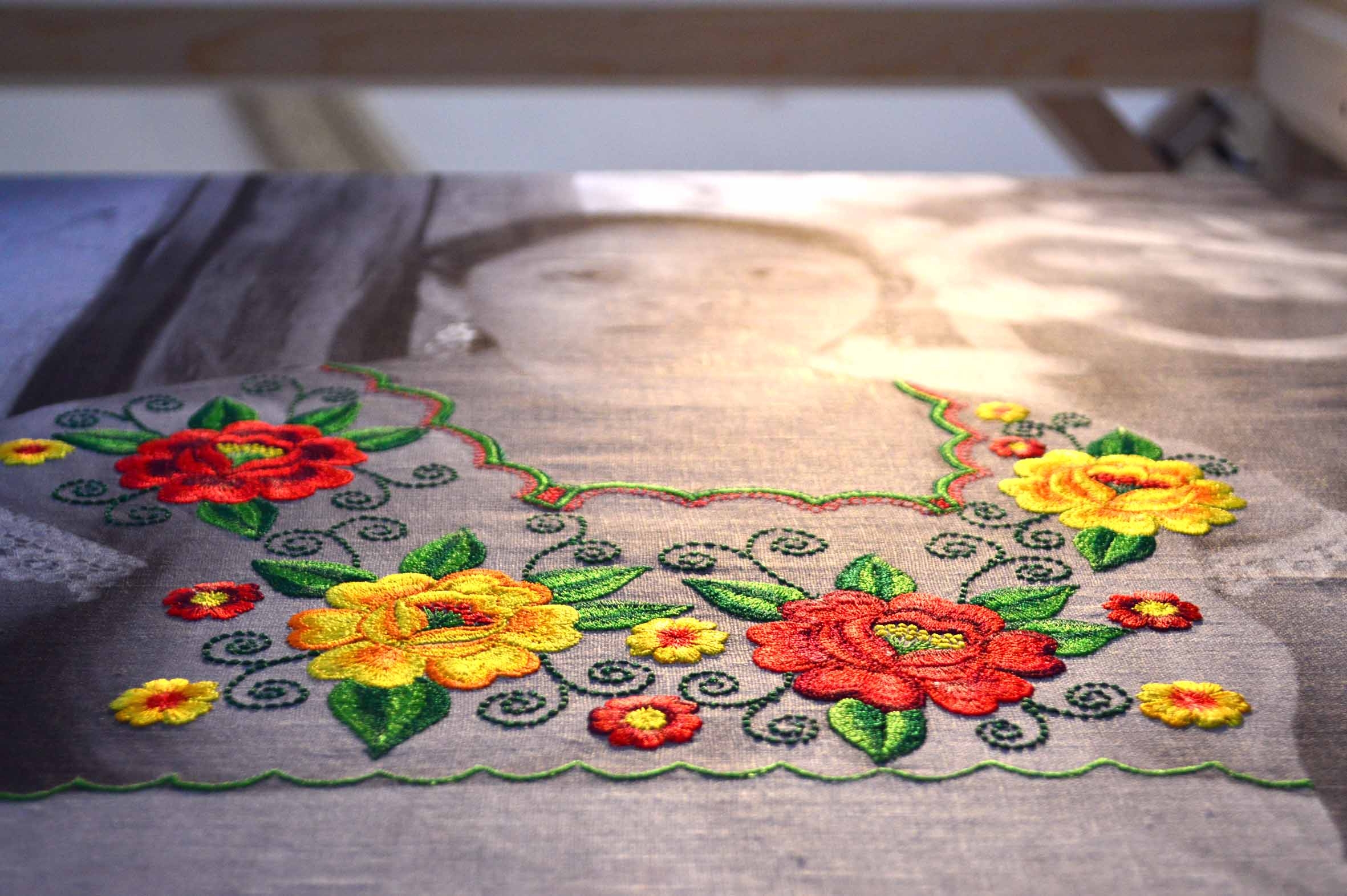 A los antiguos nos enseñaron a bordar, a ustedes a leer: Amelia Poot Dzul